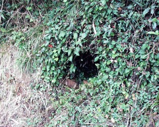 高田焼平山窯跡.jpg