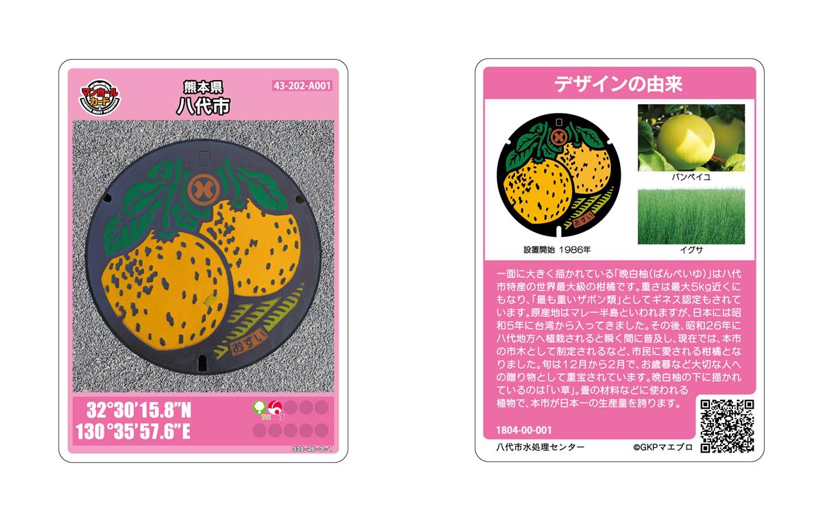 世界最大の柑橘類、”ばんぺいゆ”です！の画像