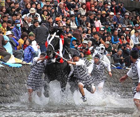 妙見祭の神馬