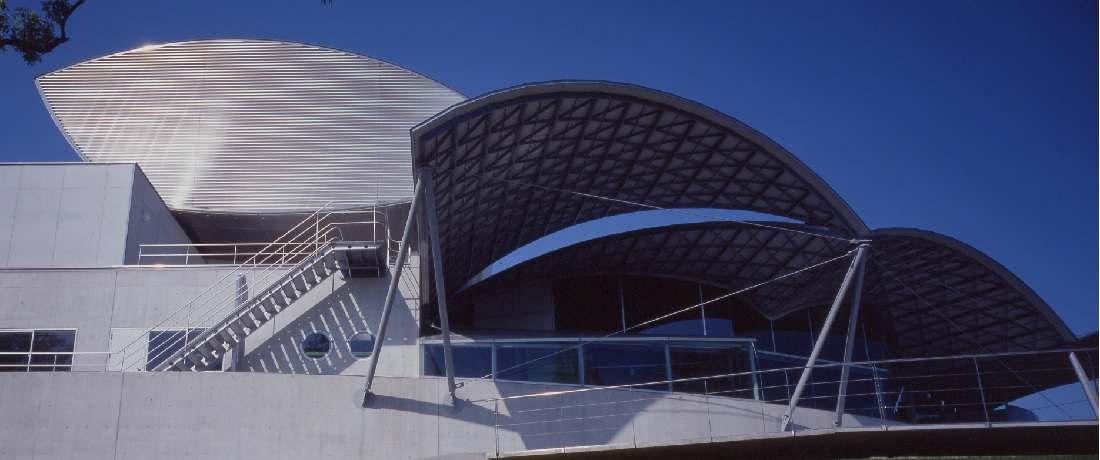 東側から博物館を見上げたところ　最上部は収蔵庫