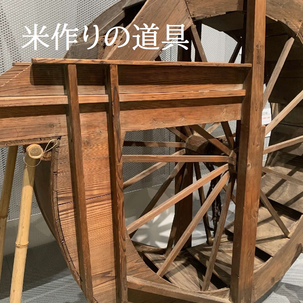 常設展示　米作りの道具の画像