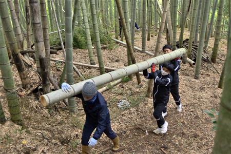 太くて大きな竹を担ぐ生徒たち